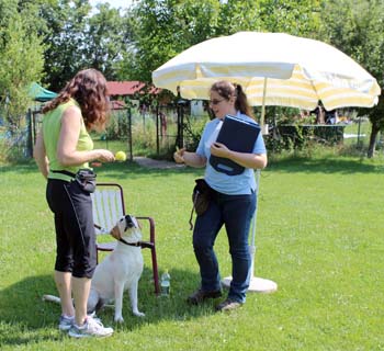 2013_06_22_IMG_0026