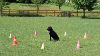 2013_06_22_IMG_0043