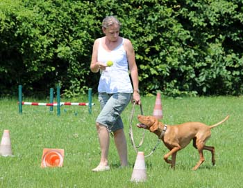 2013_06_22_IMG_0095