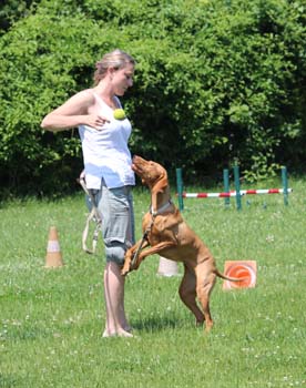 2013_06_22_IMG_0097