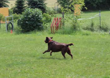 2013_06_22_IMG_0231