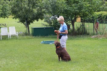 2013_06_22_IMG_0235